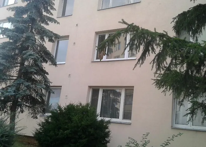 Ortenova 74